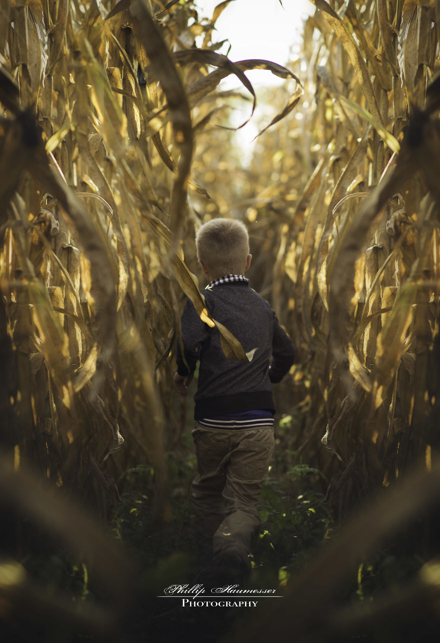 35+ Fall Photos That Will Make You Want To Become A Photographer 35+ Fall Photos That Will Make You Want To Become A Photographer