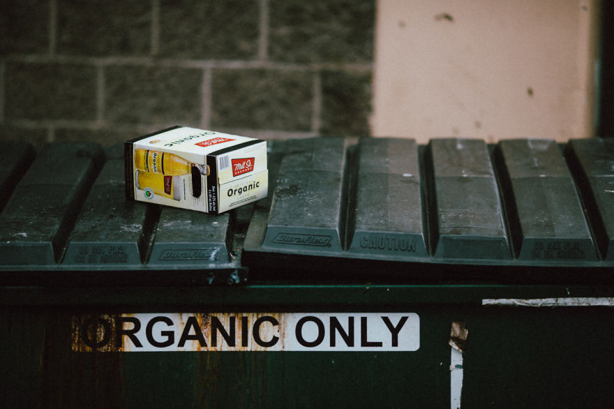 My Boss Asked Me To Take Photos For Free And Got What They Paid For My Boss Asked Me To Take Photos For Free And Got What They Paid For