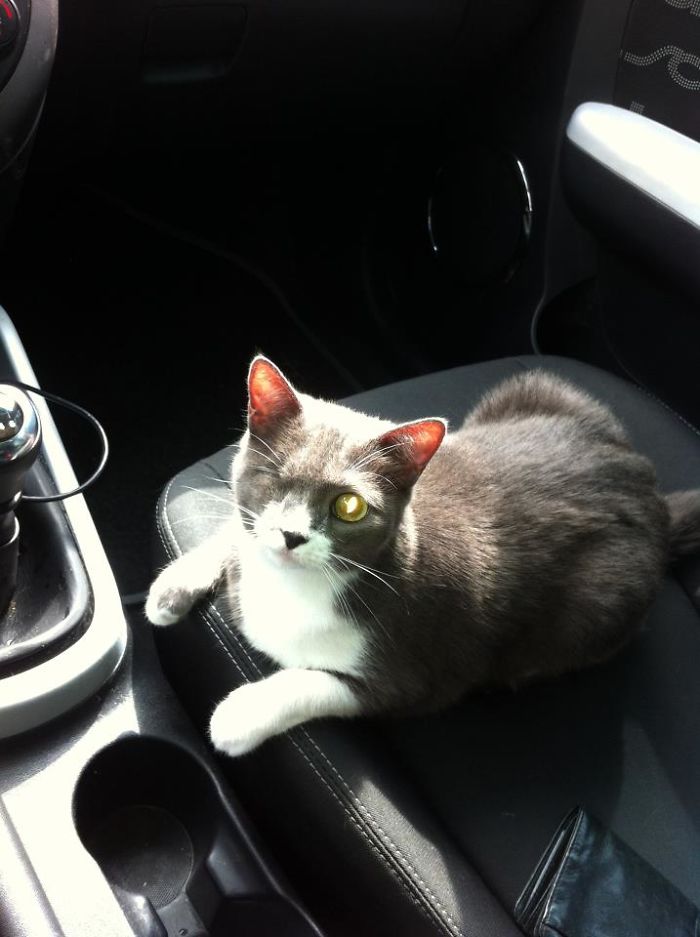 Luvinha, A Mais Linda Do Mundo