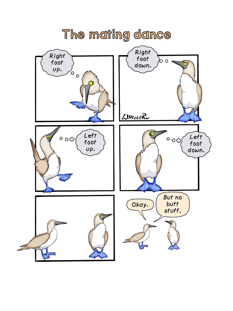 My Name Is Dan, And I Draw Big Fat Comics