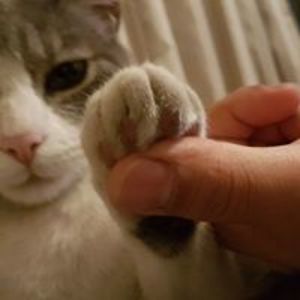 jose_cevallosq avatar