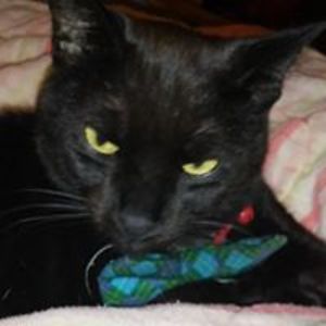 summerishere77 avatar