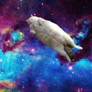 christinacoughlin avatar