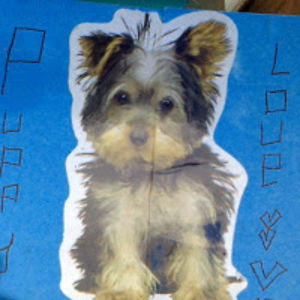 evelynnreichel avatar