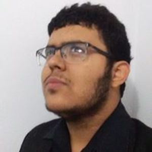 werberth_lins avatar