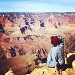 whitewingedalbatross avatar