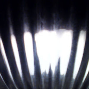 criticalphaze avatar