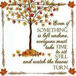 beatflldsastr avatar