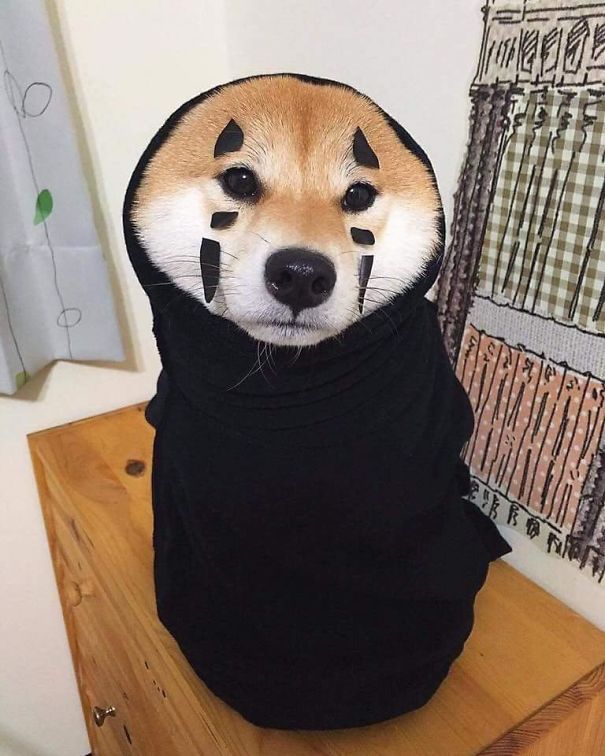 No-Face Doggo