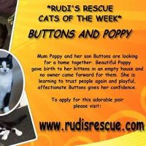 claire_wheeler avatar