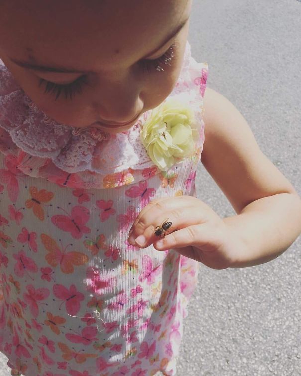 Daughter Had A Honey Stick From The Farmer's Market And A Honey Bee Decided To Land On Her. Before Panic Set In I Explained To Her That It Just Wanted To Nibble The Honey On Her Fingers And That It Was Her Friend. Panic Turned To Laughter And She Watched The Bee Until It Flew Away