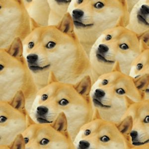 michaeloconnor avatar