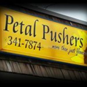 petalpushersnky avatar