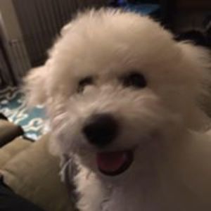 nguyenleigh181 avatar