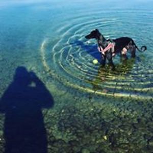 gilles_burnand avatar