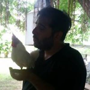 zedisnotaletter avatar