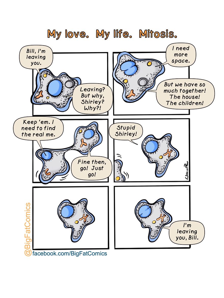 My Name Is Dan, And I Draw Big Fat Comics