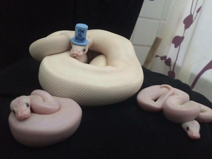 You A Dad, Snek