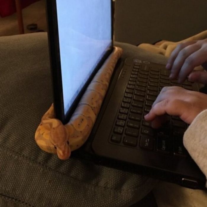 Snakes Like Warm Computers Too