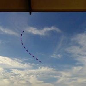 freshsaltangler7 avatar