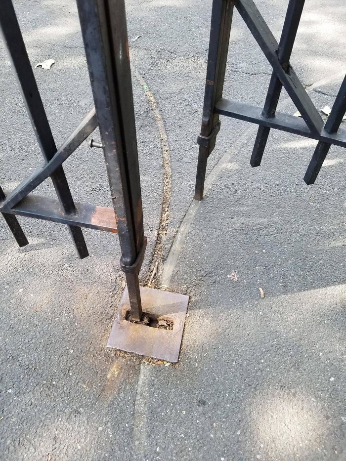 This Swinging Park Gate