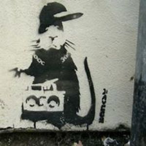 catalin_m_ion avatar