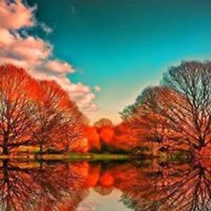 sunshinemi_1946 avatar