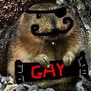 unicornsandrainbowsandchickenandstars avatar