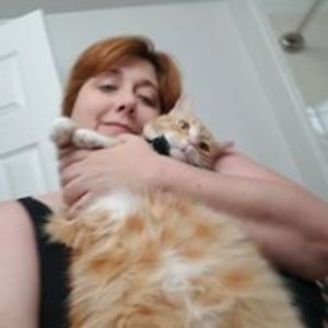 mahiru_to_yume avatar