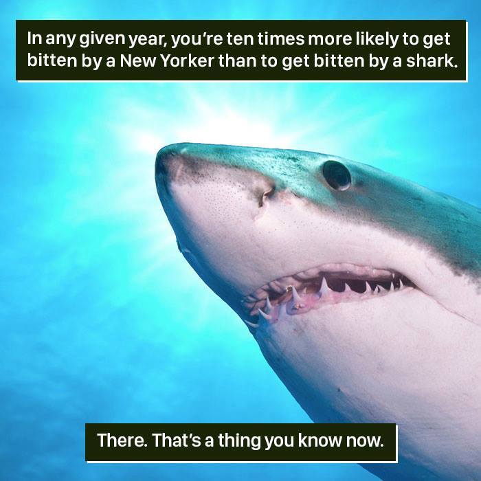 Shark close-up underwater with text about shark bites, illustrating nature's weird and surprising facts.
