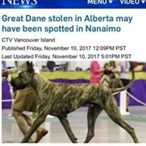 m_newman-ozaruk avatar