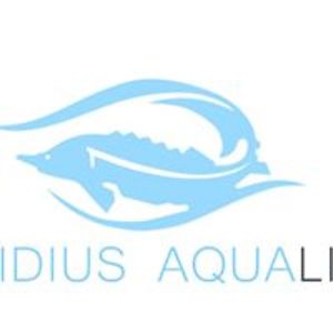 ovidiusaqualine avatar