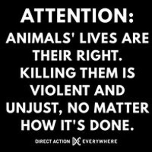 jenna_miles_97 avatar