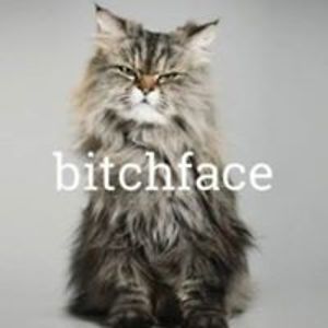 janeqpublique avatar