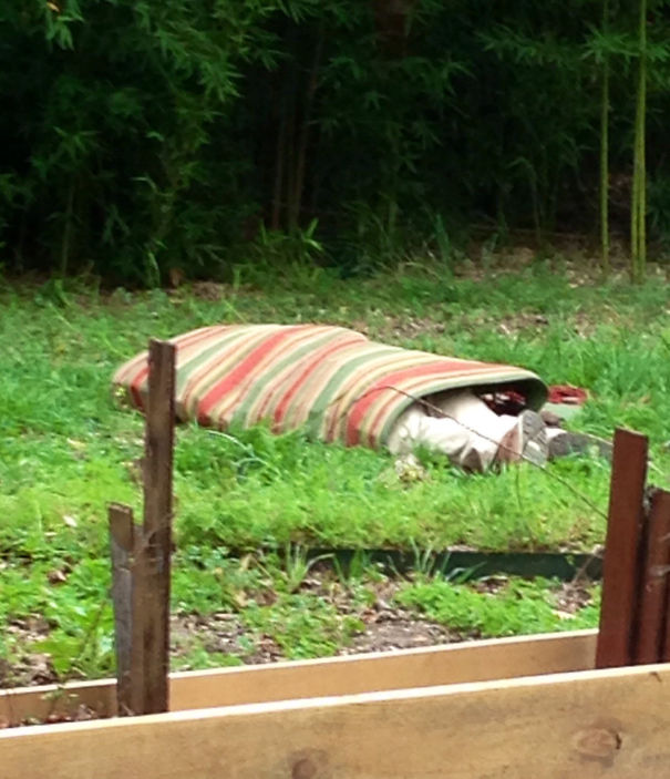 How I Found My Roommate After A Night Of Drinking