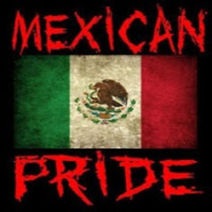 anthonysaucedo-perez avatar