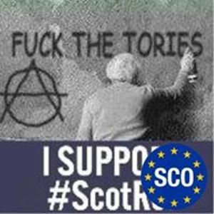 glynisdonaldson1955 avatar