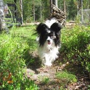 minna_sammalniemi avatar