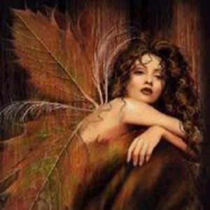 dounia_chadli avatar