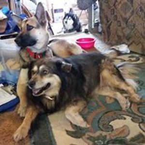 daltonrobin54 avatar