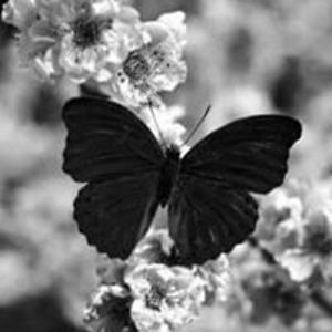 amber_tackett avatar