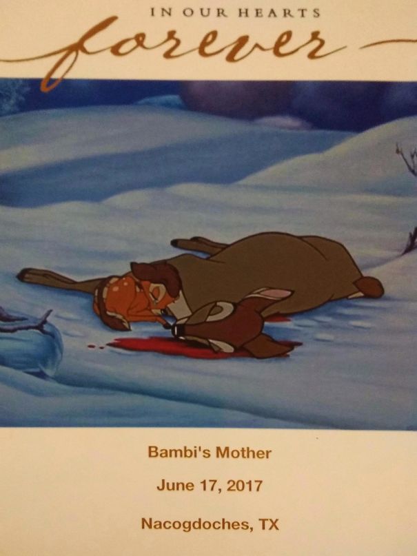 I Hit A Deer Last Saturday. My Husband Sent His Condolences From Out Of Town