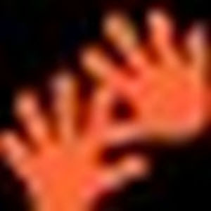 wrestlingfreak avatar