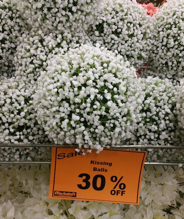 At The Flower Shop With My Wife And Suddenly I'm Immature