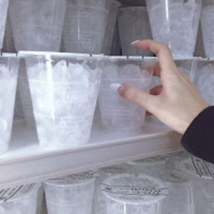 kelseyalexander avatar