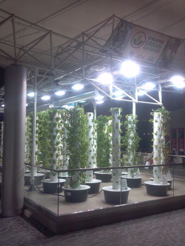 Rad Hydroponic Herb Garden Inside The Chicago Ohare Airport