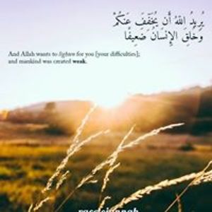 130188017756477 avatar