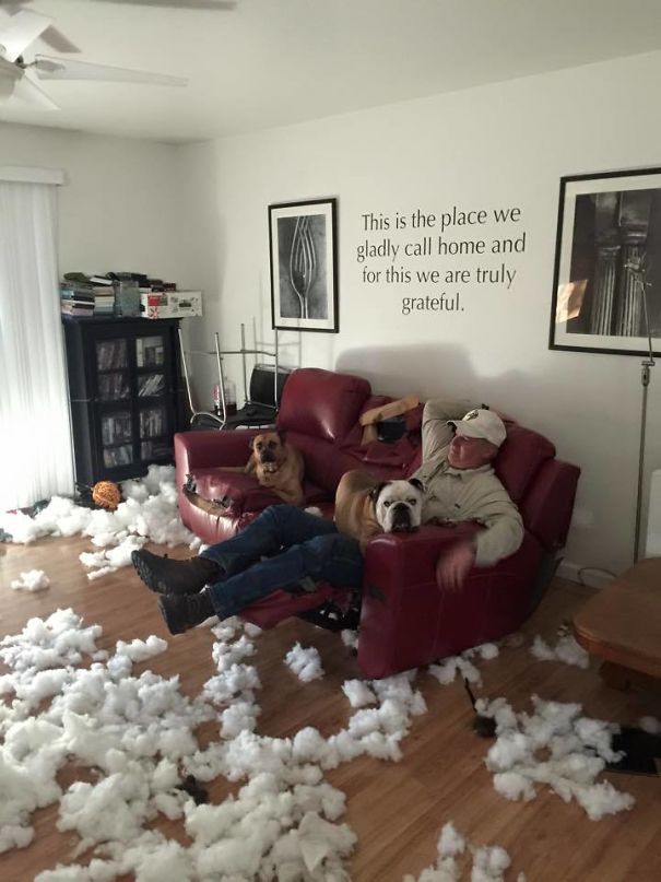 My Friend Came Home To See Her Husband And Dogs Like This