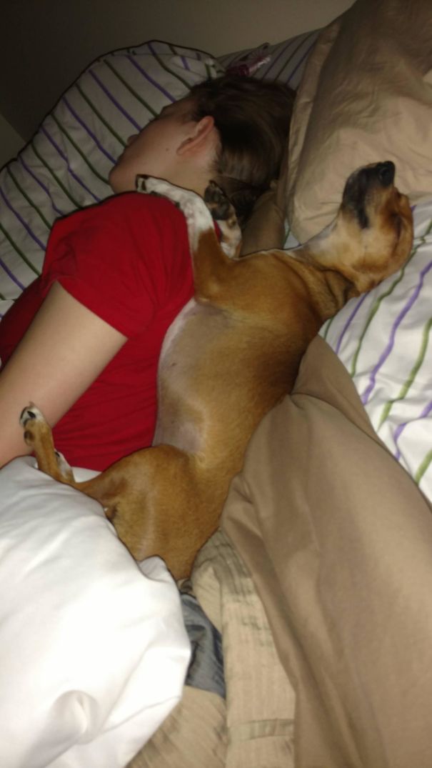 My Wife Has Replaced Me In The Bed