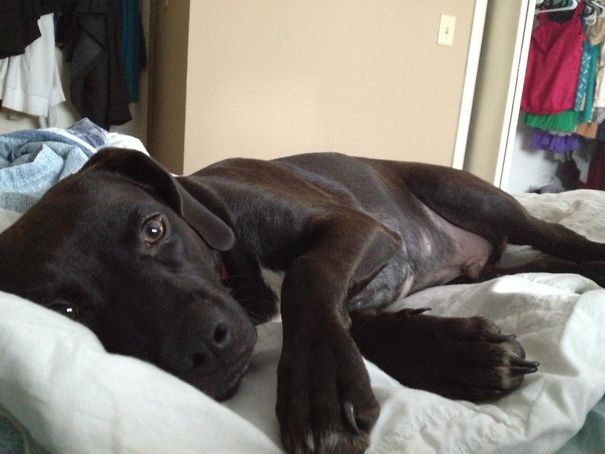 I Go To Stay At My Friend's House For One Night And My Wife Sends Me A Picture Of This Guy Taking My Place In Bed